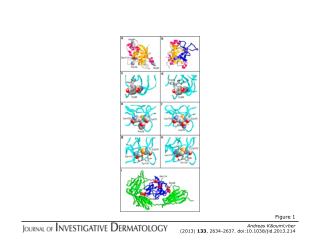 Andreas K&amp;ouml;rber (2013) 133 , 2634-2637. doi:10.1038/jid.2013.214