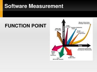 Software Measurement