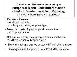 Cellular and Molecular Immunology: Peripheral B and T cell differentiation