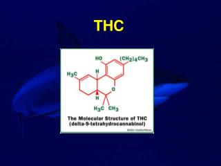 THC