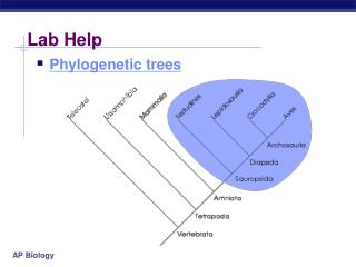 Lab Help