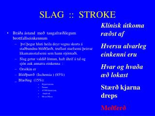 SLAG :: STROKE