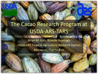 The Cacao Research Program at USDA-ARS-TARS