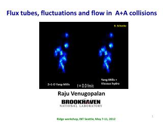 Flux tubes, fluctuations and flow in A+A collisions