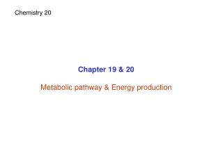 Chapter 19 &amp; 20 Metabolic pathway &amp; Energy production