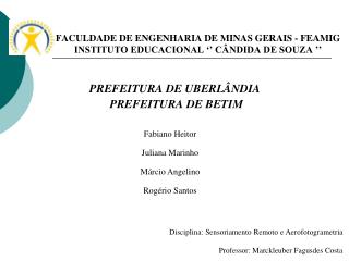FACULDADE DE ENGENHARIA DE MINAS GERAIS - FEAMIG INSTITUTO EDUCACIONAL ‘’ CÂNDIDA DE SOUZA ’’
