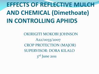 EFFECTS OF REFLECTIVE MULCH AND CHEMICAL ( Dimethoate ) IN CONTROLLING APHIDS