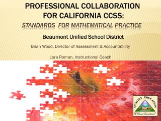 Standards for mathematical practice