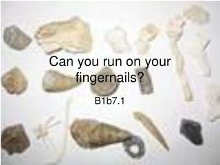 Can you run on your fingernails?