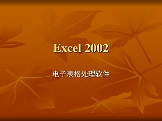 Excel 2002