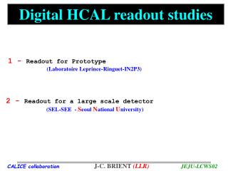 Digital HCAL readout studies