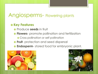Angiosperms- Flowering plants
