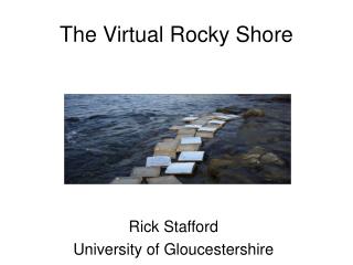 The Virtual Rocky Shore