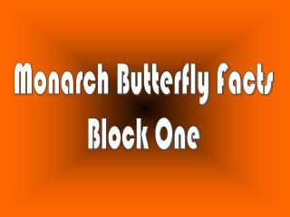 Monarch Butterfly Facts Block One