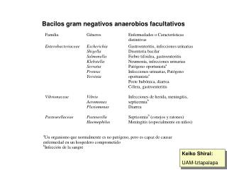 Bacilos gram negativos anaerobios facultativos