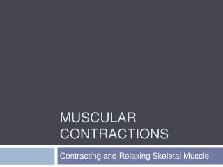 Muscular Contractions