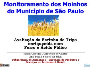Monitoramento dos Moinhos do Município de São Paulo
