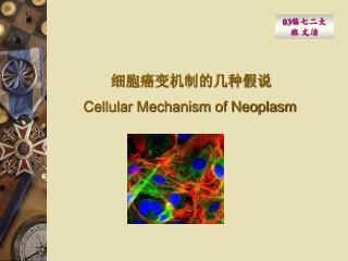 细胞癌变机制的几种假说 Cellular Mechanism of Neoplasm