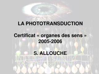 LA PHOTOTRANSDUCTION Certificat « organes des sens » 2005-2006 S. ALLOUCHE