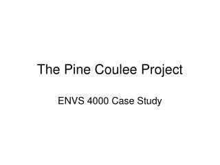The Pine Coulee Project