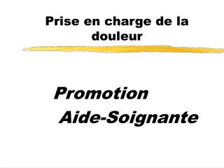 Prise en charge de la douleur