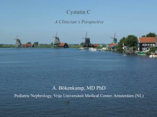 Cystatin C A Clinician‘s Perspective