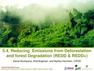5.4. Reducing Emissions from Deforestation and forest Degradation (REDD & REDD+)