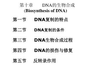 第十章 DNA 的生物合成 ( Biosynthesis of DNA)
