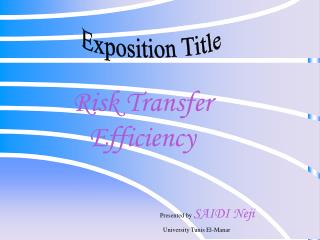 Risk Transfer Efficiency