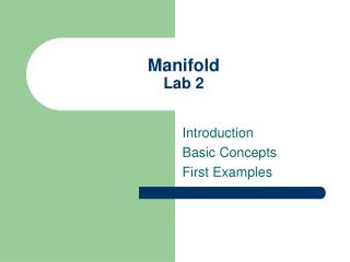 Manifold Lab 2