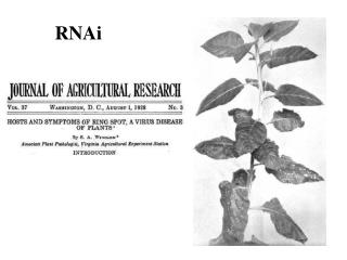 RNAi