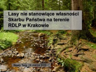 Lasy nie stanowiące własności Skarbu Państwa na terenie RDLP w Krakowie