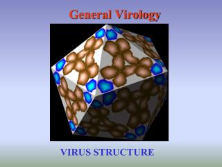 General Virology