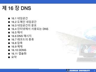 제 16 장 DNS