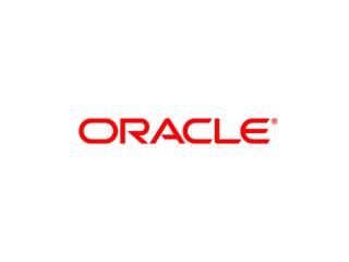 Portál pro podporu rozhodování Oracle Business Intelligence Portal Erik Eckhardt