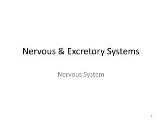 Nervous &amp; Excretory Systems