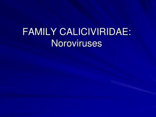 FAMILY CALICIVIRIDAE: Noroviruses