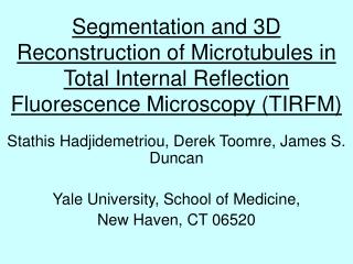 Segmentation and 3D Reconstruction of Microtubules in Total Internal Reflection Fluorescence Microscopy (TIRFM)