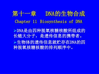 第十一章 DNA 的生物合成 Chapter 11 Biosynthesis of DNA