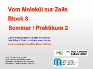 Vom Molekül zur Zelle Block 3 Seminar / Praktikum 2