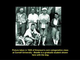 Picture taken in 1929 of Emerson’s corn cytogenetics class