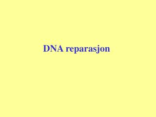 DNA reparasjon