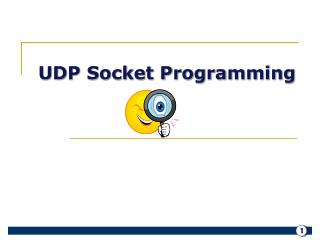 UDP Socket Programming