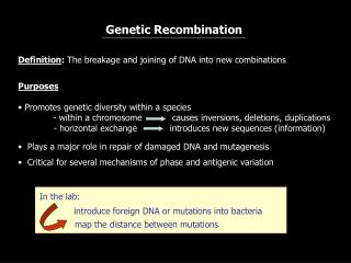 Genetic Recombination