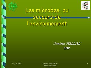 Les microbes au secours de l’environnement