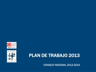 PLAN DE TRABAJO 2013