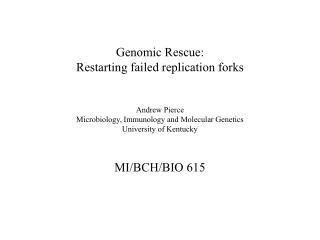 Genomic Rescue: Restarting failed replication forks