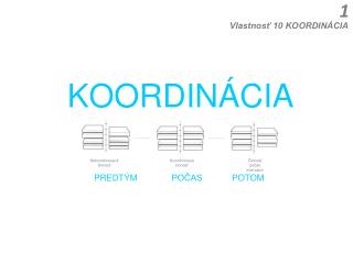 KOORDINÁCIA
