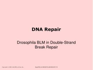 DNA Repair