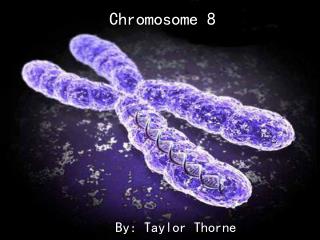 Chromosome 8